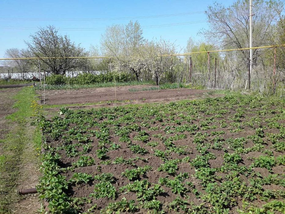 Дача с участком в 8 сот.