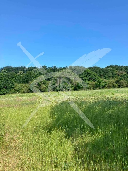 Парцел в с. Долище - 84846