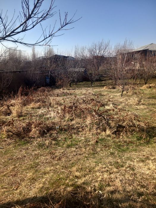 Земелний участка прадаётся 13,5 сот паркент,невич.Yer uchastka sotilad