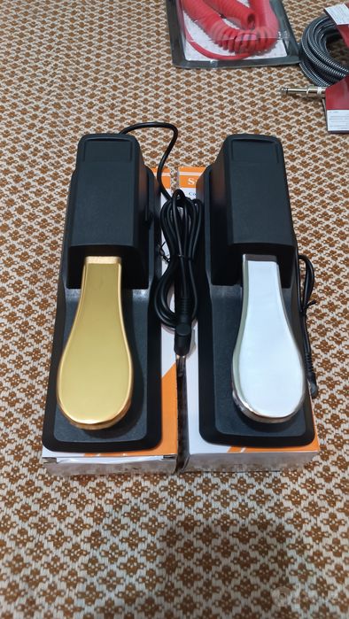 Pedal Susteyn sotuvda 220 ming