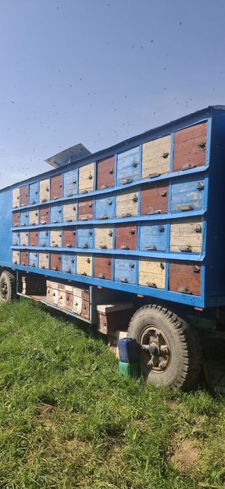 Прицеп для перевозки Пчел(асалари)