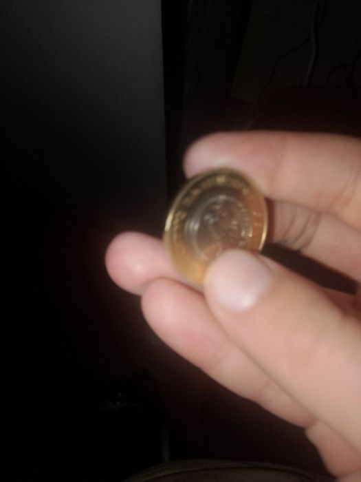 Монета с рисунком принимают