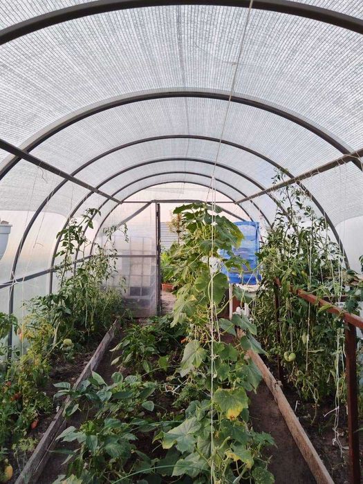 Продается отличный дом в Дружбе