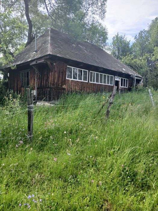 Vand lemn vechi din constructii
