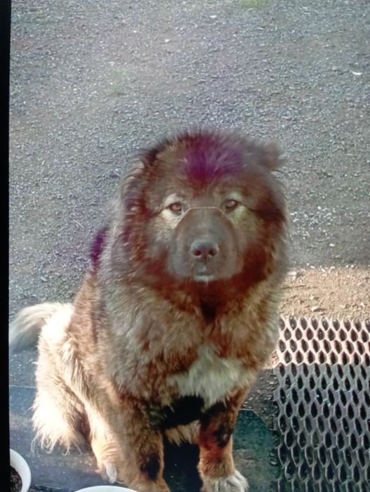 В связи с переездом