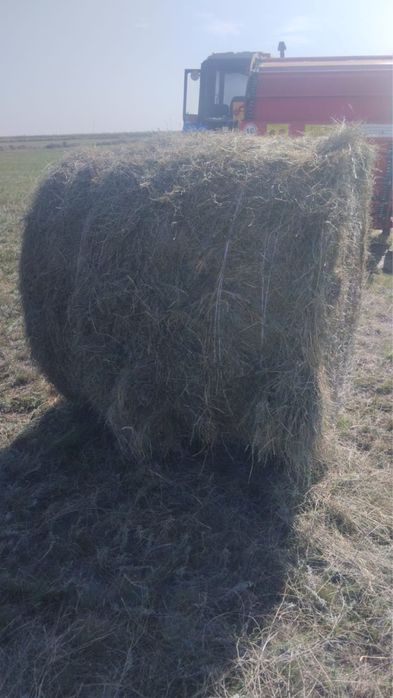 Тюки. Рулоны. Сено