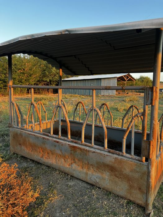 Iesle pentru vaci si cai