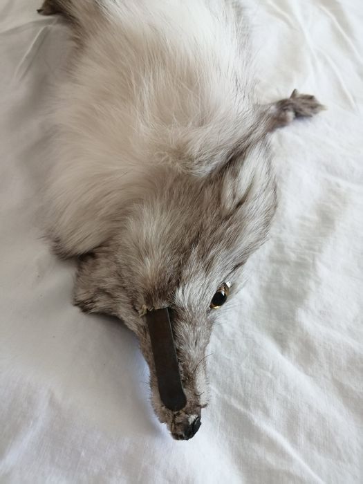 Шал и шапка от сребърна лисица