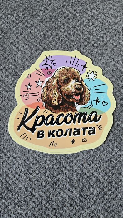 Стикери/автостикери за автомобил/ кола за домашни любимци