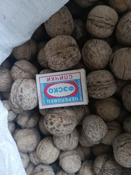 Продам грецкие орехи