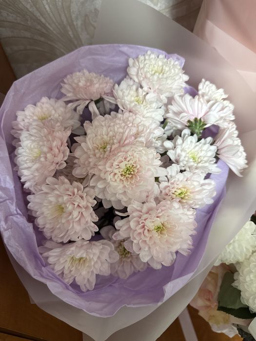 Продам цветы ромашка