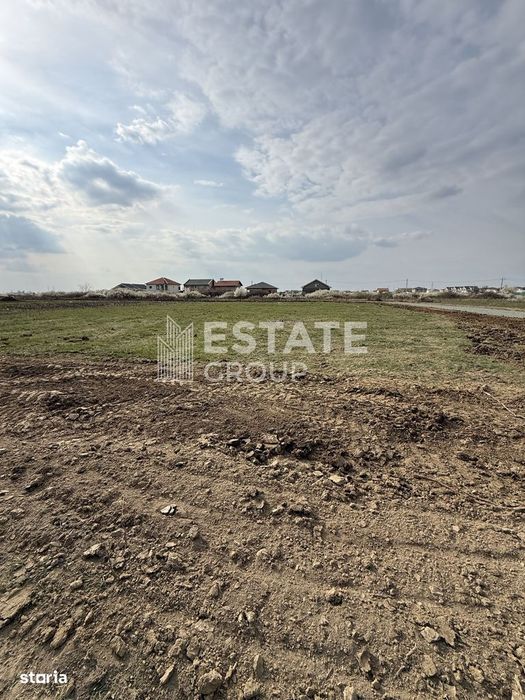 Mosnita Noua, front stradal 22 ml