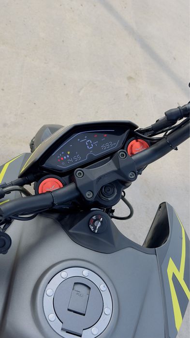 Jelmaia G7 (қара бұқа)