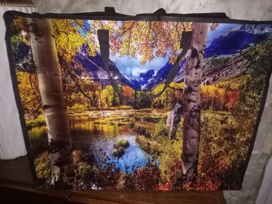 Большая вместительная сумка на молнии 63*50*31