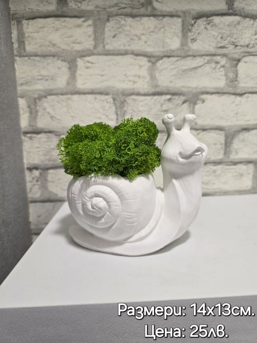 Различни видове кашпи със скандинавски мъх