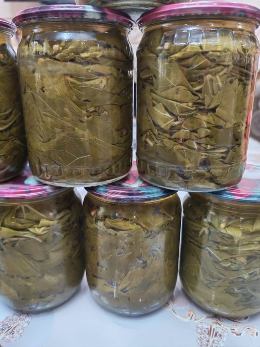 Продам виноградные листья Долму.