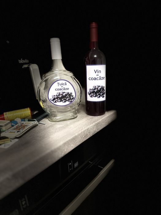 Plantație de coacăze negre de vânzare (afacere la cheie)