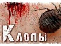 Уничтожение клопов и тараканов