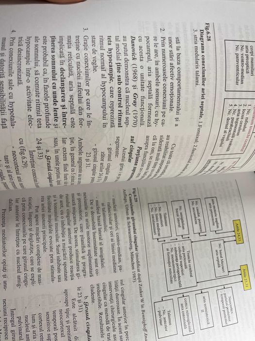 Tratat medicina Emisferele Cerebrale GH Petrovanu 1999 NOU rezidentiat