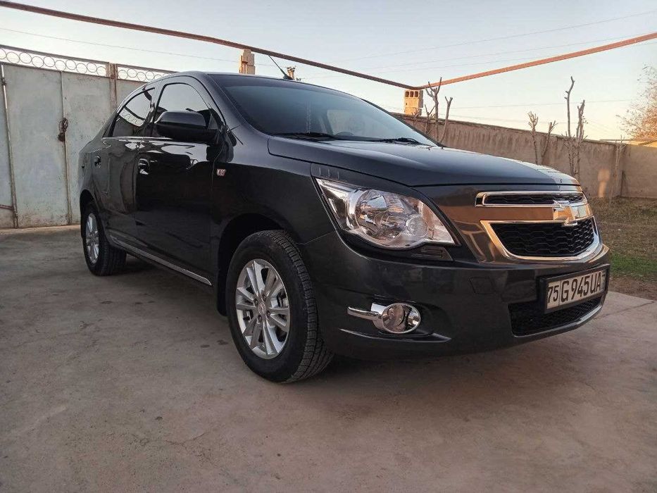 Holati zo`r kraska tozza 100%