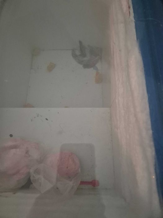 Congelator frigorific