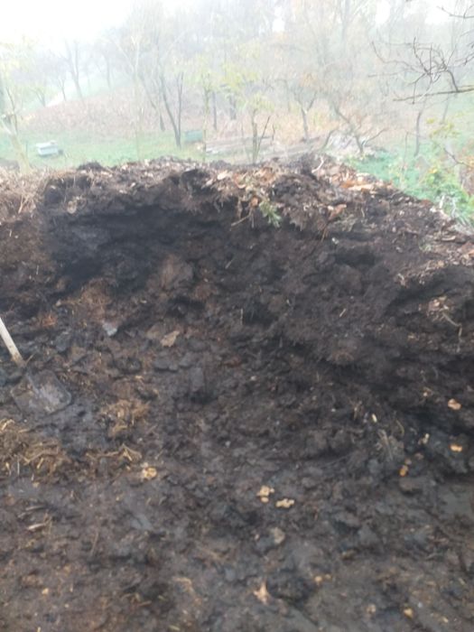 Vindem  gunoi de grajd pamant negru sau tafos