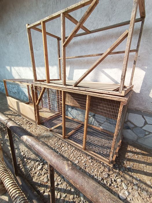 Quyon  uchun in katak