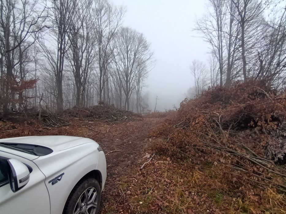 Teren intravilan 3.186 mp – Sat Vărmaga, Certeju de Sus, Hunedoara – luminiș la poalele muntelui