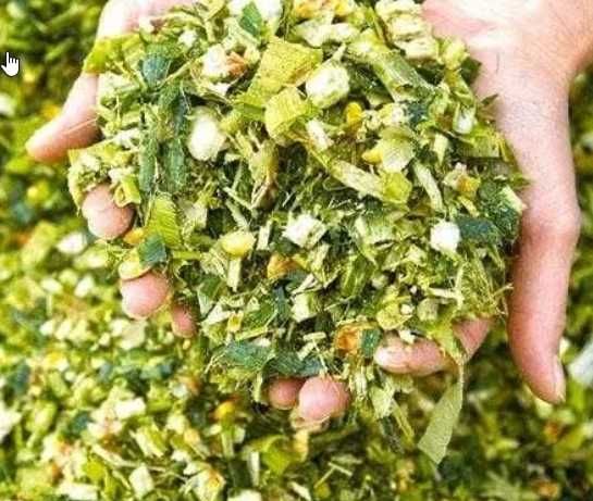 selos силос  Сифатли Makka Bug'doy Yamaga bosilga sotiladi