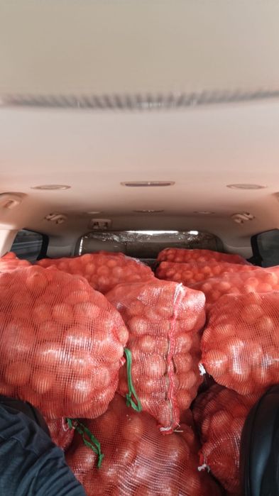 Продам картошку.
