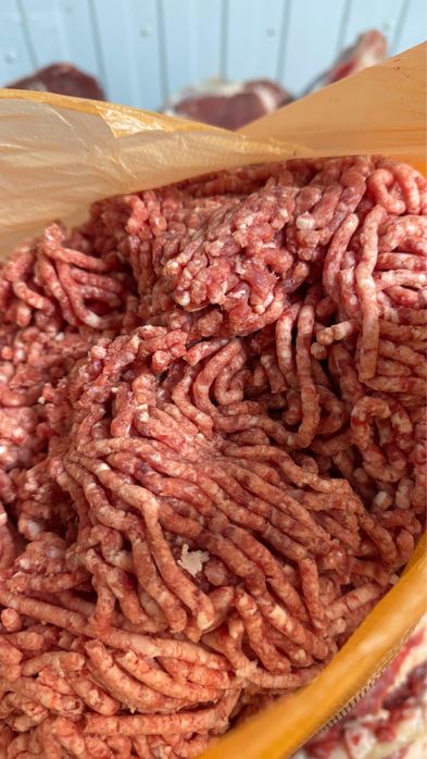 Продам мясо говядины