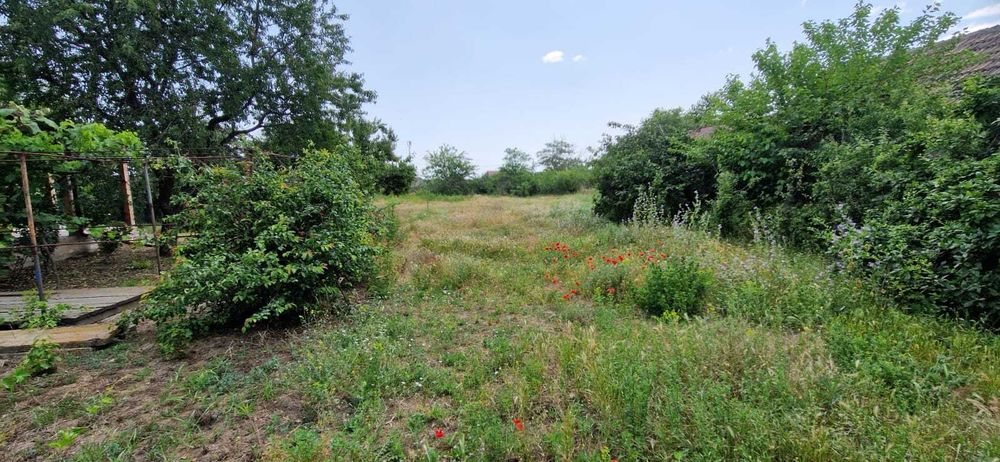 Vand teren intravilan in Vadu, Constanta –  1100 mp