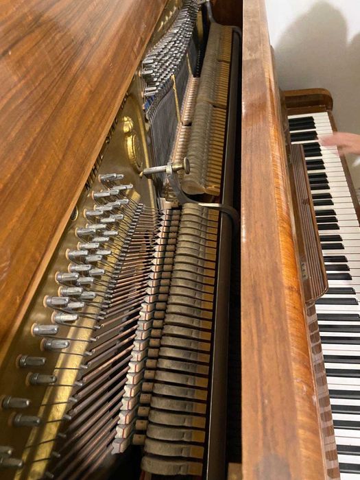 Пиано Adolf Ernst Voigt