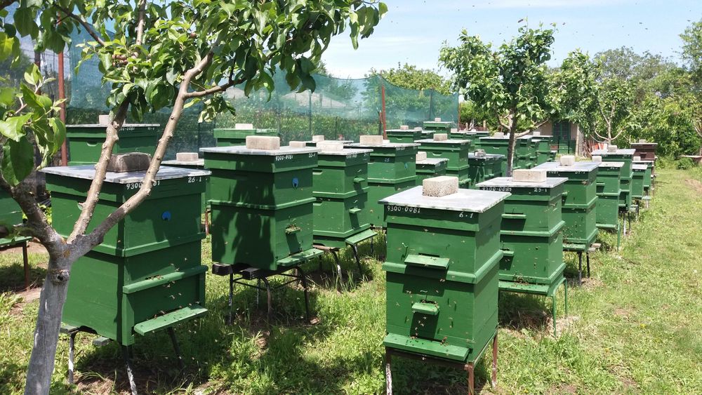 Продавам натурален пчелен мед