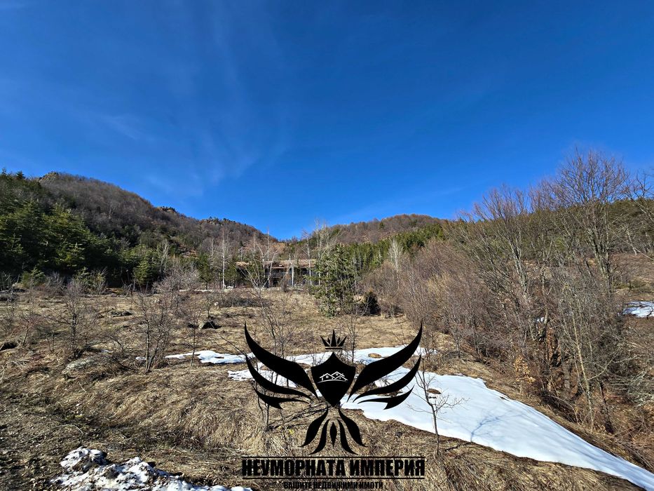 Продавам земя 5000 кв. в село Врата, местност Чуката общ.Асеновград