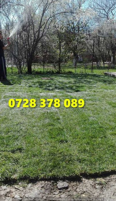 Gazon rulou Sistem de Irigare Oriunde in tara Calitate Extra