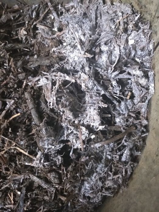 Qo'ziqorin uchun kampost 1kv 150.000 sõm