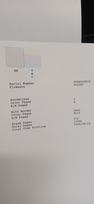 Epson L 3100 три в одном