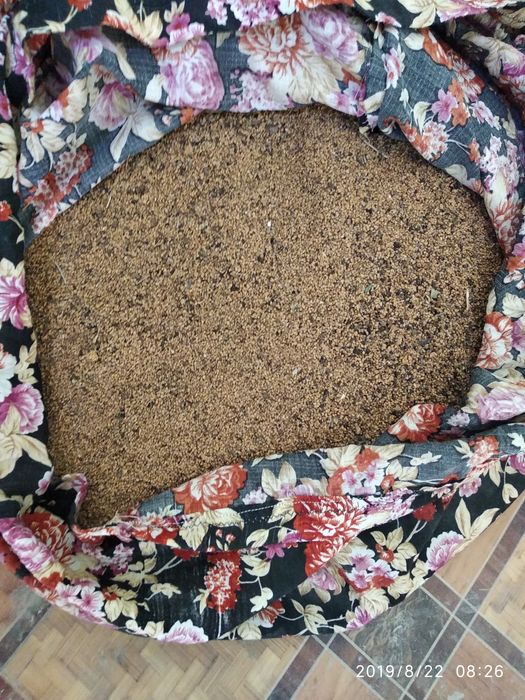 Тут уруглари сотилади