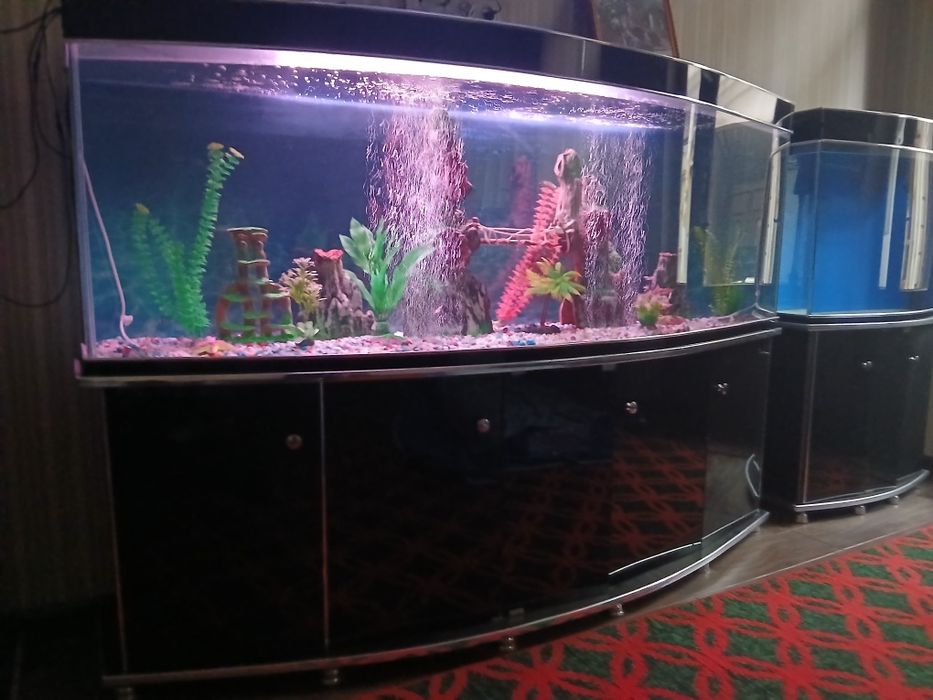 Аквариум сотилади.