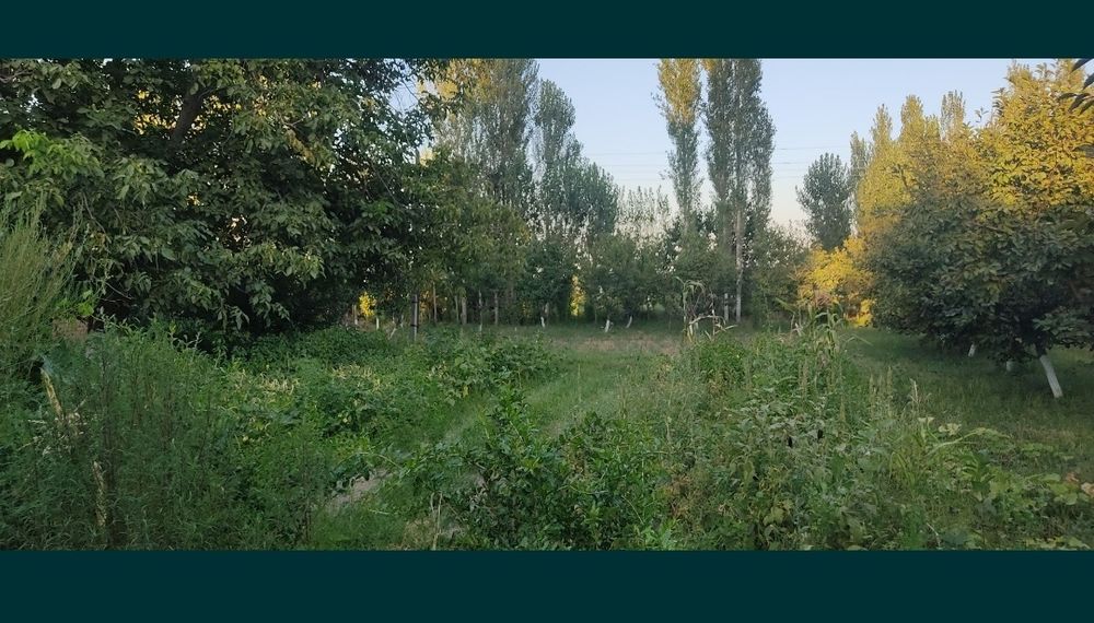 Продается участок с домом