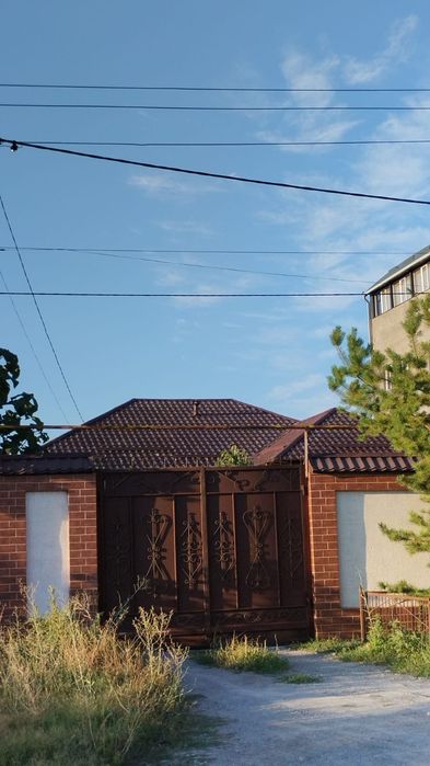 Крыша жабу кровля крыша