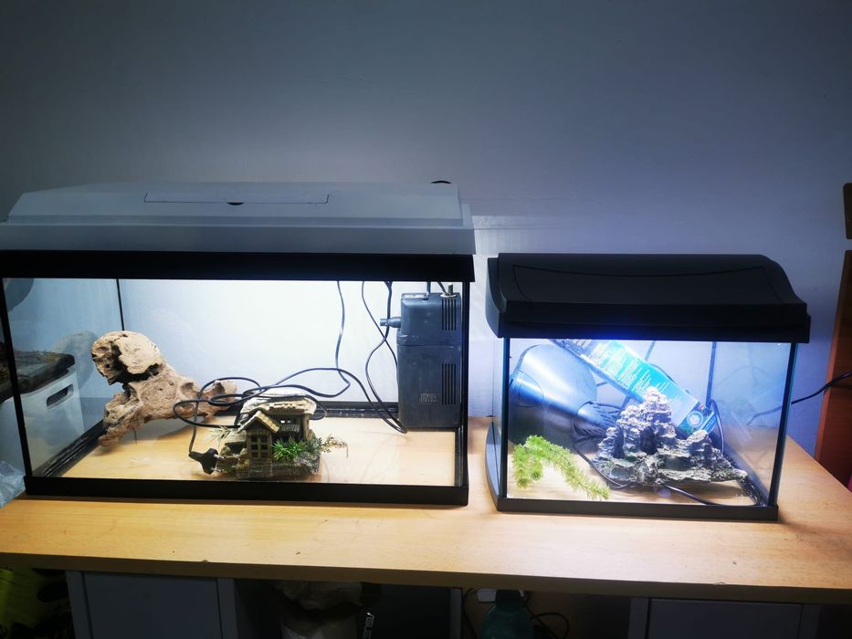 Vând acvariu Juwel Primo60 și Tetra complet echipate