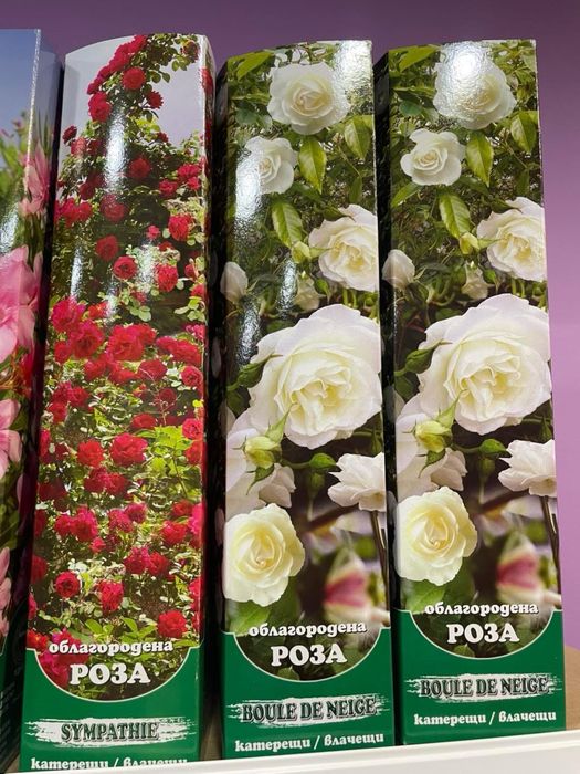 Градински растения - рози, нар, индийски люляк , смокиня …