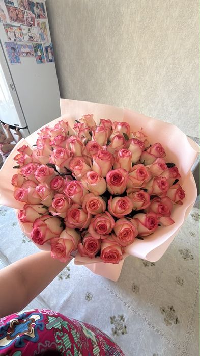 51 роза свежие красивые