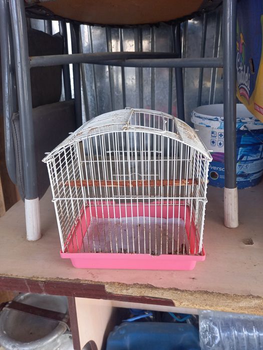 Тор , ұя, клетка, тотықұс, папугай