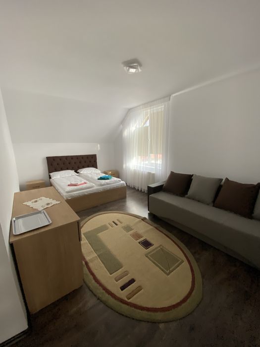 Vilă spațioasă, renovată în 2024, cu 1.400 m² teren – Hațeg