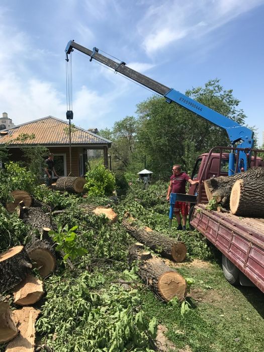 Спил, обрезка деревьев