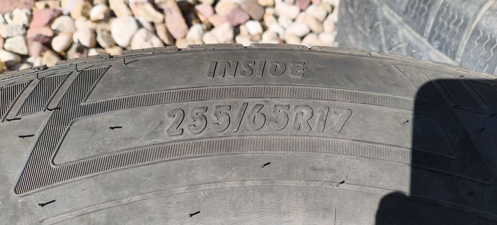 Petlas explero winter w671 tyres