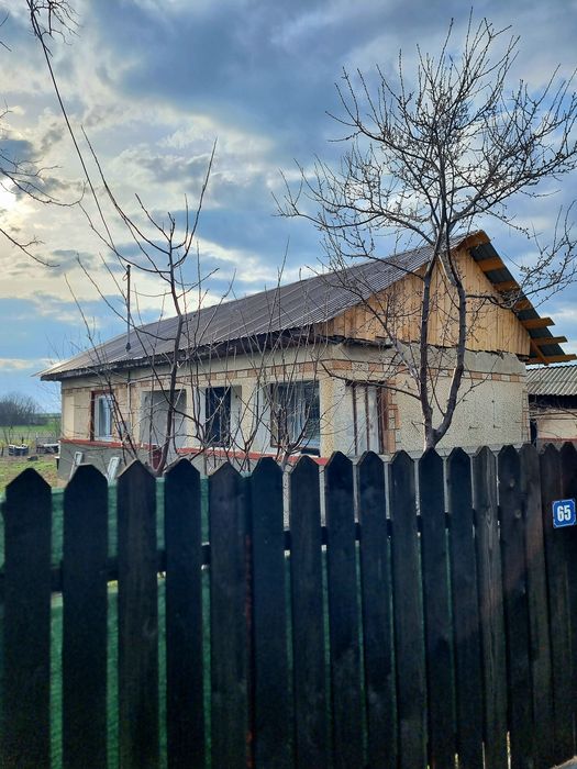 Casa individuala cu gradina